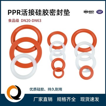 【臺灣出貨】PPR活接頭密封圈水暖活接墊片防漏4分6分膠圈耐高溫硅膠墊食品級