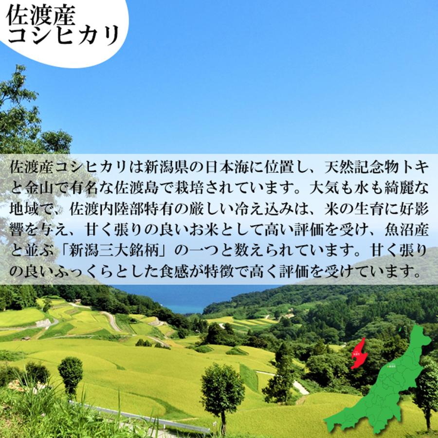 食味値上位厳選米 令和5年 新潟県 新潟米 佐渡産コシヒカリ 白米10kg（5kg×2袋）「新潟三大銘柄」の一つ佐渡産コシヒカリ