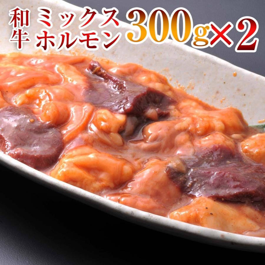 ホルモン ミックス 味付き 300g × パック 合計600ｇ