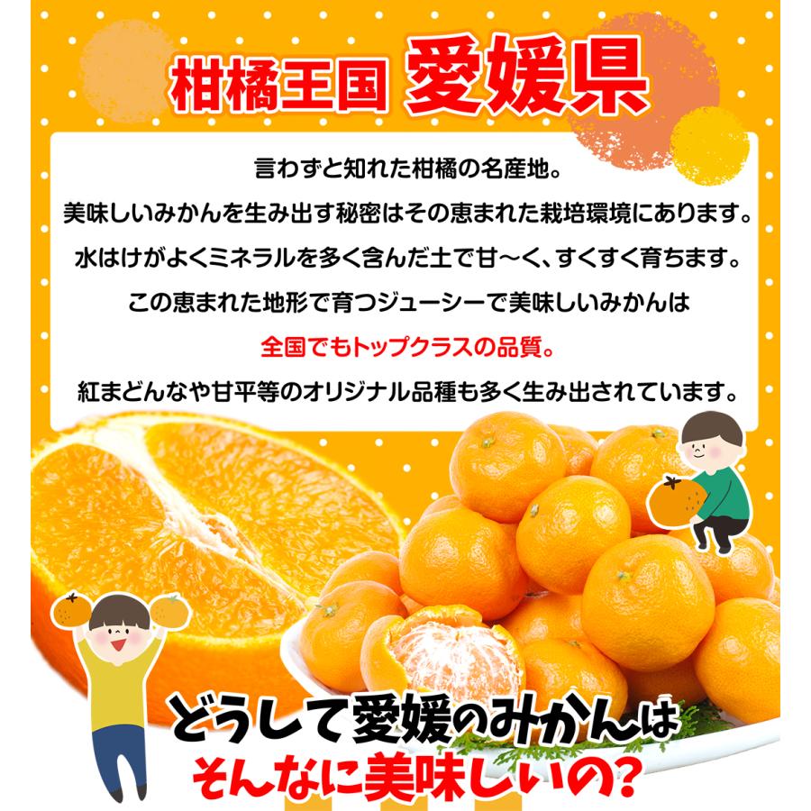 みかん 5kg あいか 愛媛産 ご家庭用 柑橘 蜜柑 送料無料 食品