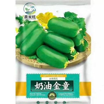 原裝金童水果小黃瓜種子 盆栽陽台菜園 迷你小黄瓜 台灣現貨 生吃脆甜 豐產耐熱 家庭種植 當季新鮮採種 栽培容易