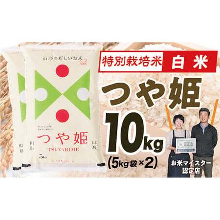 ふるさと納税  特別栽培米つや姫10kg(5kg×2) 山形県最上町