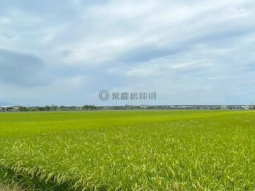 宜蘭高鐵擴大420公頃特區美農地A｜宜蘭縣壯圍鄉新福段