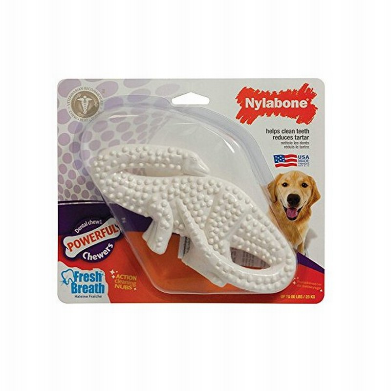 犬用歯磨きおもちゃナイラボーン デンタルダイナソー ブロントサウルス 並行輸入品 通販 Lineポイント最大0 5 Get Lineショッピング
