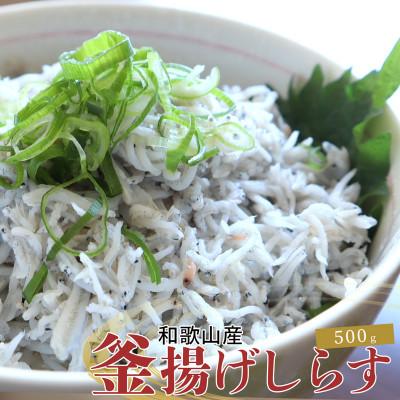 ふるさと納税 湯浅町 紀州和歌山湯浅産 釜揚げしらす 500g