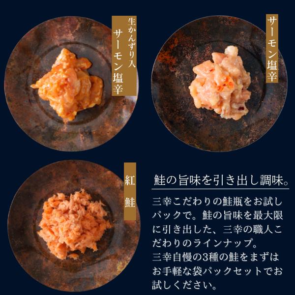 ご飯のお供 お歳暮 海鮮 ギフト 珍味 海鮮 珍味 ミニ鮭三昧 ご飯のお供 宅飲み  食べきり お祝い 誕生日 グルメ  おつまみ 自宅用 お取り寄せ グルメ 新米