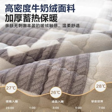 牛奶絨床蓋三件套冬季加絨加厚保暖毛絨床單單件防滑不移位床毯墊