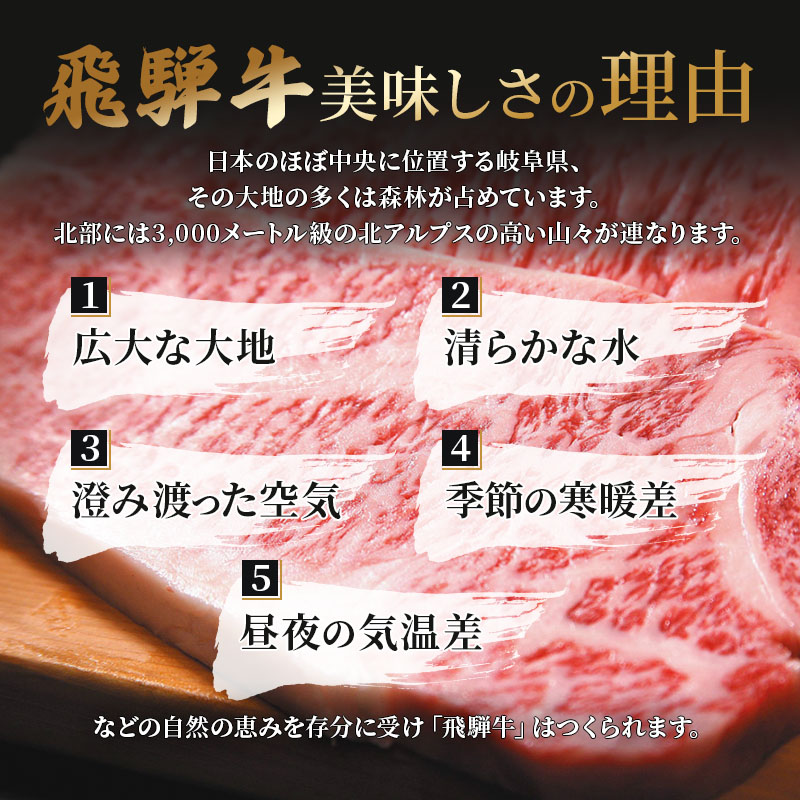 ふるさと納税　飛騨牛 牛肉 ステーキ サーロイン 250g×6枚 計1.5kg A5 和牛