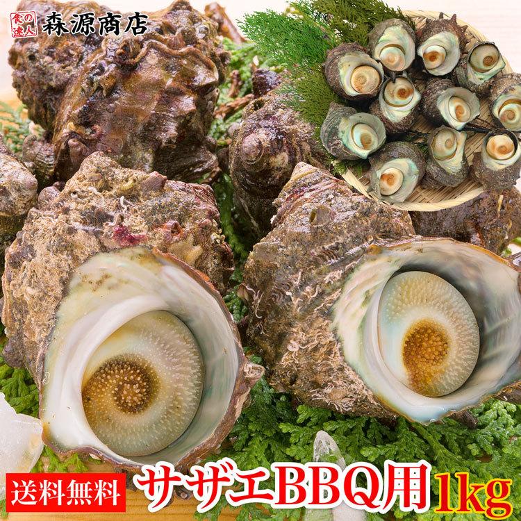 サザエ さざえ バーベキュー BBQ 1kg 8〜13個 海鮮 魚介 中サイズ ツボ焼き用 同梱不可 冷蔵配送 ギフト