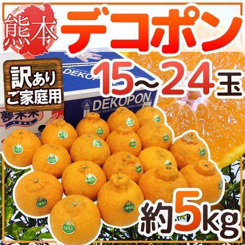 熊本産”デコポン” 訳あり 15〜24玉 約5kg 送料無料