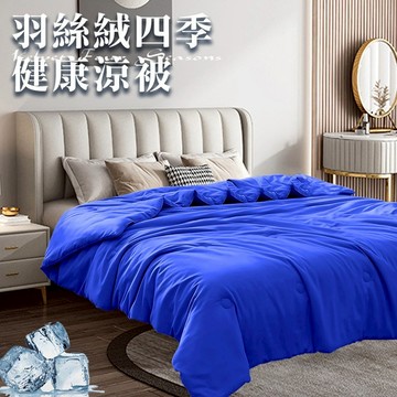 臺灣現貨（隔日出貨）羽絲絨四季健康涼被2.0Kg 涼被 冷氣被 薄被 四季被 能量被