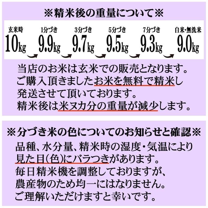 新米 米 玄米 10kg ひとめぼれ 10kg×1袋 令和5年産 岩手県産 精米無料 白米 無洗米 当日精米 送料無料