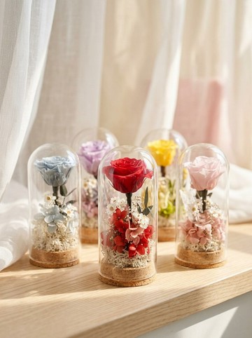 小王子永生花玻璃鐘罩 乾燥花情人節生日紀念日禮物