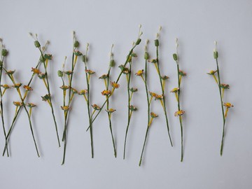 紙花，DIY雛菊材料，花蕊15束，1.5公分。蜜桃刷色