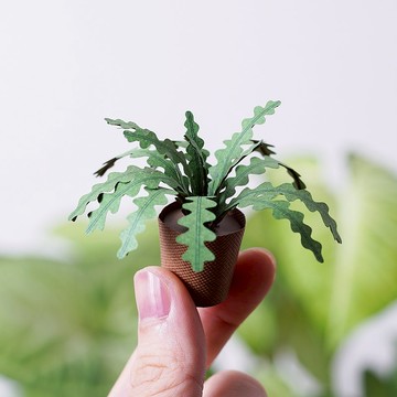 【紙植栽 DIY材料包 S】 魚骨仙人掌 | 9028404 紙風景