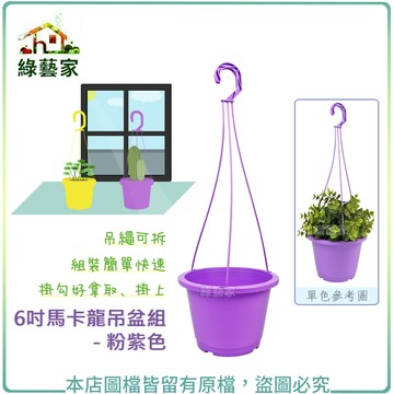 【綠藝家】6吋馬卡龍吊盆組 - 粉紫色