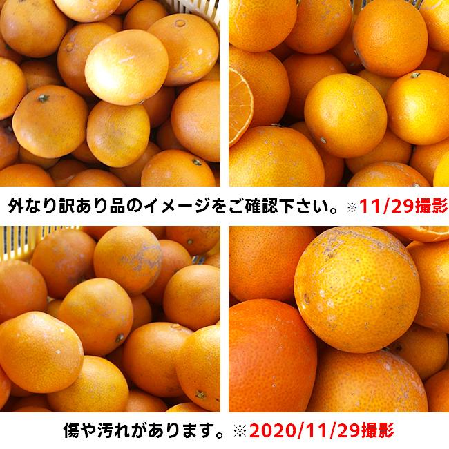 愛媛産 ご家庭用 農家さんもぐもぐ 外なり訳ありスイートまどんな 5kg( 約0.5kg多め) 不揃い 傷 汚れ有 紅まどんなと同品種 あいか