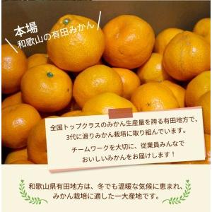 ふるさと納税 ＼光センサー選別／こだわりの完熟有田みかん 約8kg ◇有機質肥料100% ※2023年11月中旬頃〜2024年1月上旬頃に順次発送予定 ※北.. 和歌山県美浜町