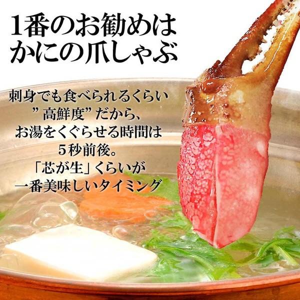 カニ かに 蟹 グルメ 生 ズワイガ二 カニ爪 ポーション 正味量400g×1袋 爪 ポーション 爪肉 蟹 セット