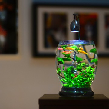 新品上市生態瓶【綠野琉光造景系列-綠絲絨款】