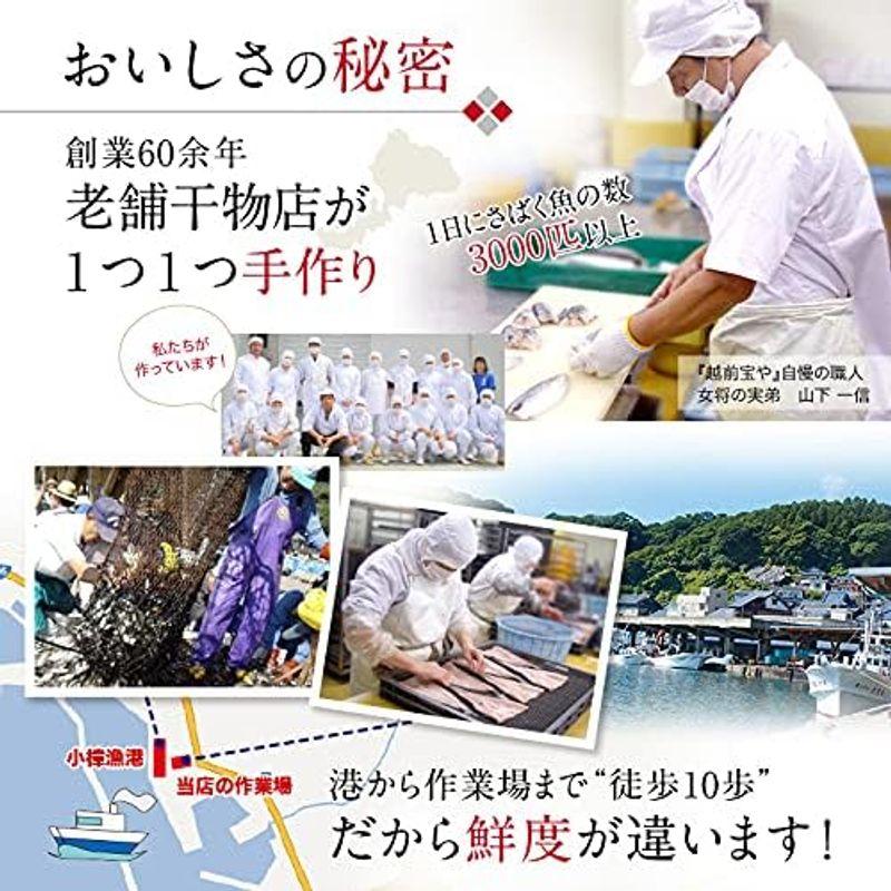 越前宝や 海鮮丼 海鮮漬け マグロ 1パック (1?2食分) 海鮮丼セット 一人用 2人前 海鮮丼の具 国産 海鮮漬けの素 人気 海鮮漬け丼