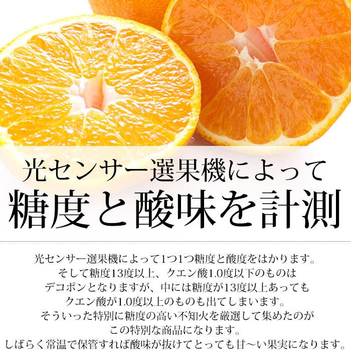 みかん 愛媛県産 濃媛 不知火 しらぬい 糖度14度以上 約2.5kg 7〜11個