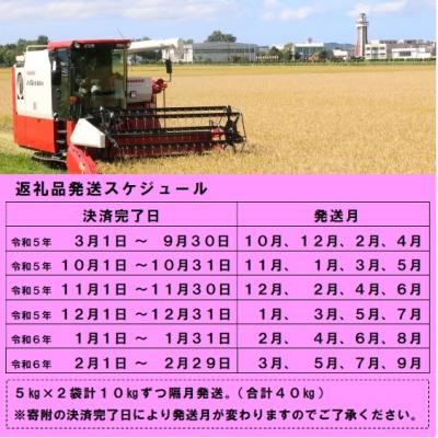 ふるさと納税 秩父別町 令和5年産 ゆめぴりか定期便40kg(隔月発送)