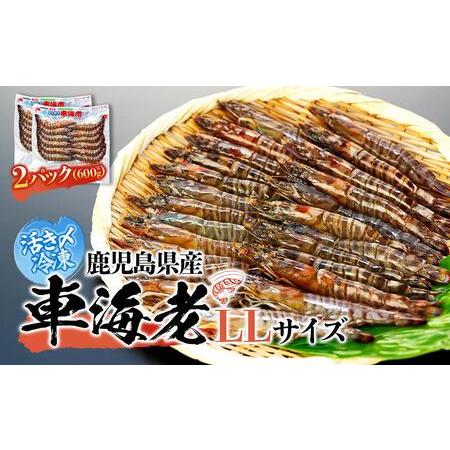 ふるさと納税 活き〆冷凍 車海老 LLサイズ(12尾) 計600g  鹿児島県産 (養殖) 鹿児島県屋久島町