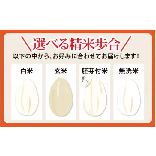 ふるさと納税 福井県 福井市 令和5年産 ふくい東郷米 特別栽培米 減農薬 コシヒカリ 3kg×2袋[A-020008_04]