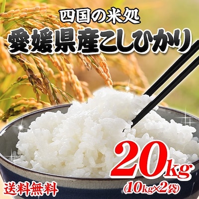 令和5年産　愛媛県産こしひかり20kg（10ｋｇX2）　単一原料ふっくらツヤツヤ米!