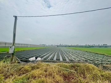 嘉義水上產業園區✱方正3分✱重劃美農地｜嘉義縣水上鄉南靖