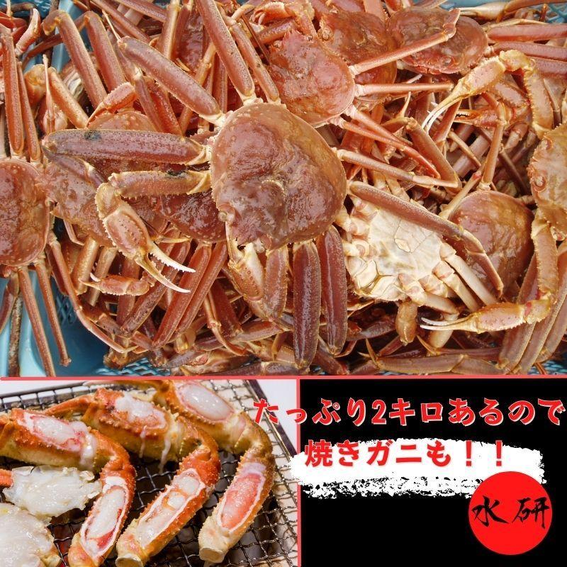 生 ずわいがに 蟹 ポーション 冷凍 化粧箱 2箱 4kg（1箱あたり5人前から8人前）