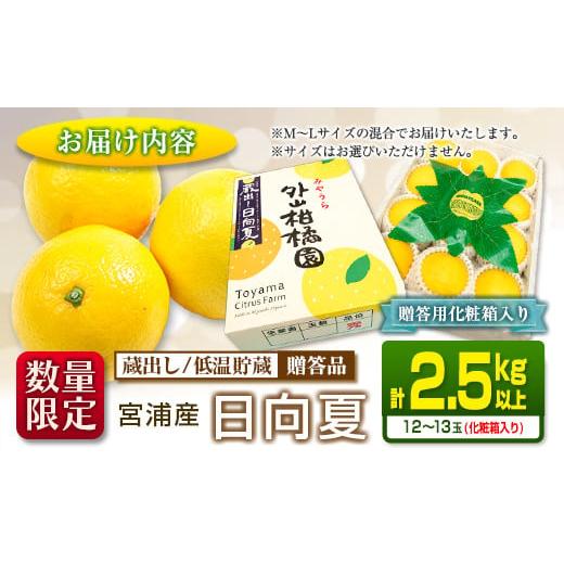 ふるさと納税 宮崎県 日南市 ≪数量限定≫宮浦産蔵出し日向夏(計2.5kg以上)　フルーツ　果物　柑橘　みかん　国産 BA53-23