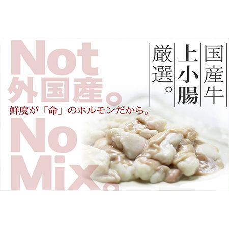 ふるさと納税 国産牛 上ホルモン 博多もつ鍋セット（和風醤油仕立て）2〜3人前 福岡県小郡市