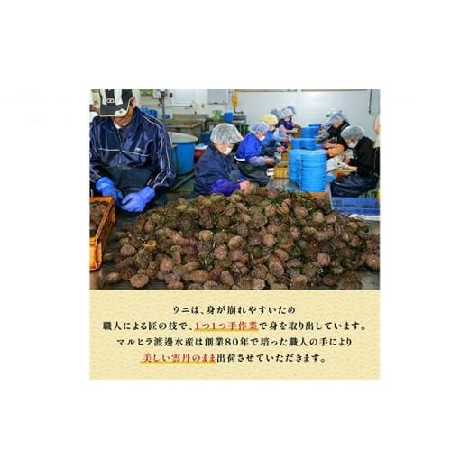 ふるさと納税 北海道 登別市 極上！北海道産キタムラサキウニ折詰400g ※2024年6月下旬よりお届け