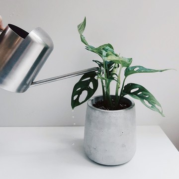 PURE 清水泥 | 極簡錐圓水泥盆器・花盆・花器