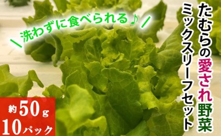 洗わずに食べられる！たむらの愛され野菜　ミックスリーフセット　10個