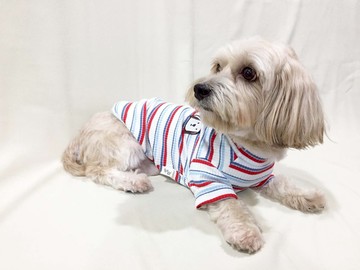 【鬍子尾巴】刺繡條紋毛衣寵物衣-紅色溫暖