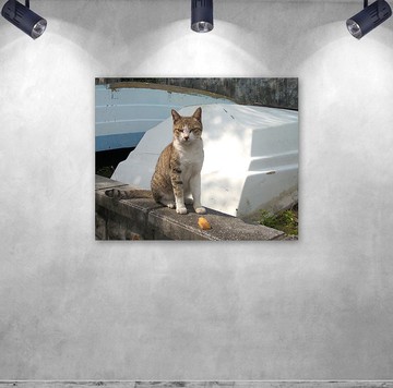 無框複製畫 | 這不是我的菜/貓A0015 | K藝術家