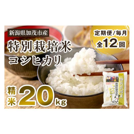 ふるさと納税 新潟県 加茂市 新潟県加茂市産 特別栽培米コシヒカリ 精米20kg（5kg×4）白米 従来品種コシヒカリ 加茂有機米生産組…