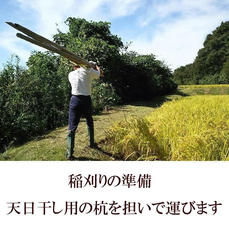 米　新米　店長が作ったお米　ササニシキ　2kg　天日干し　白米　玄米もOK　令和5年産米　送料無料　2キロ　天日乾燥　岩手県産　発送日当日精米