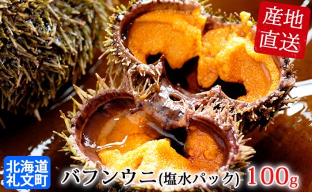 北海道 礼文島産 採れたて バフンウニ  塩水パック 100g×1  生うに 生ウニ  塩水うに