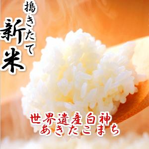 新米　令和５年産　米 30kg 送料無料　秋田県産 あきたこまち 玄米(10kg×3袋)　一等米　お米　白米 27kg　お祝い　御贈答