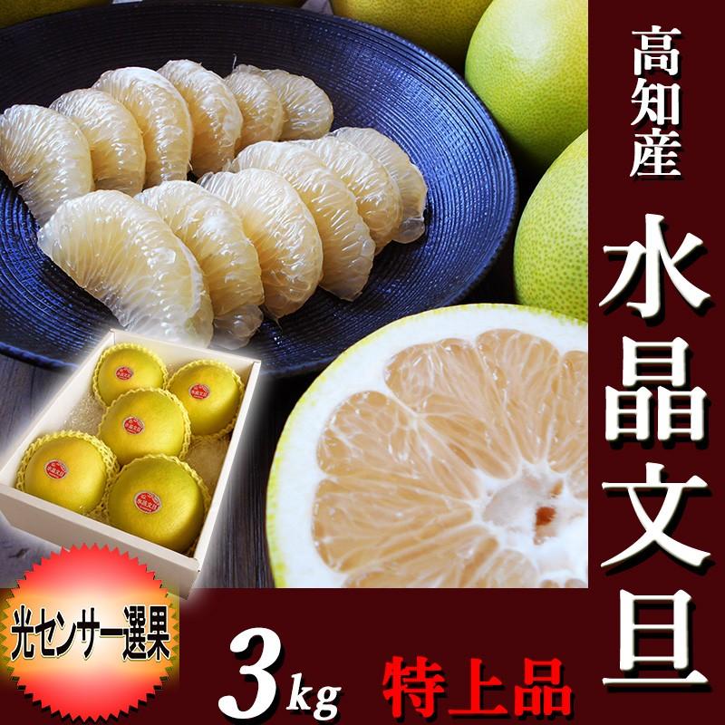 文旦 水晶文旦 約3kg 送料無料 光センサー選果 特上品 大玉限定 5〜6玉 高知産 文旦 すいしょう ぶんたん 晩白柚 マーマレード 糖度 プレゼント 歳暮