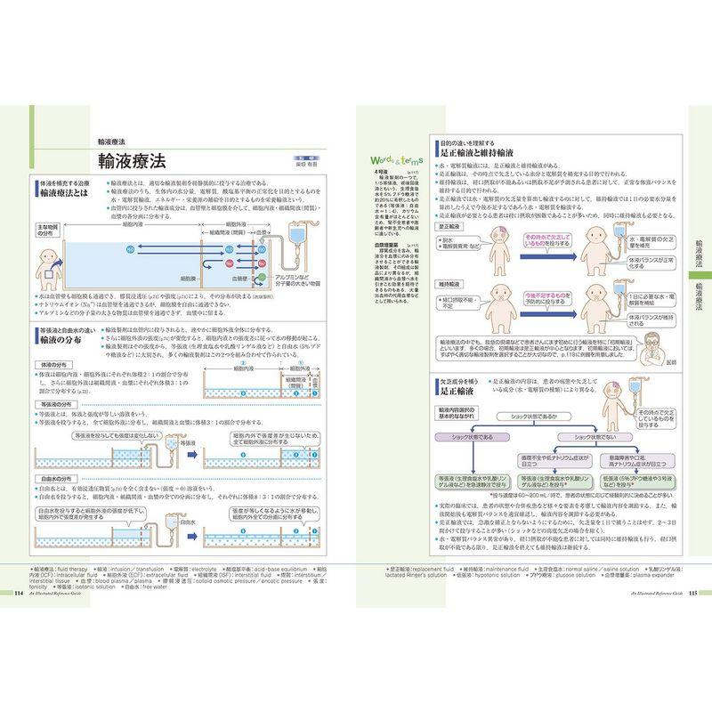 病気がみえる vol.8 腎・泌尿器