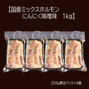 ふるさと納税 ホルモン焼き 国産牛 ミックスホルモン 1kg (250g×4) ホルモン 焼肉 にんにく味噌味 京都府舞鶴市