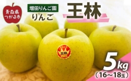 [2023年11月下旬より順次発送] りんご 王林 5kg (16～18玉)｜青森県産 津軽 つがる リンゴ 果物 令和5年 [0352]