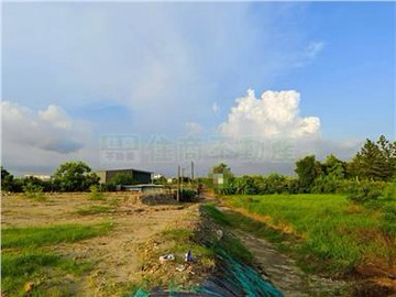 新化頂山腳943綜合果園｜台南市新化區頂山腳