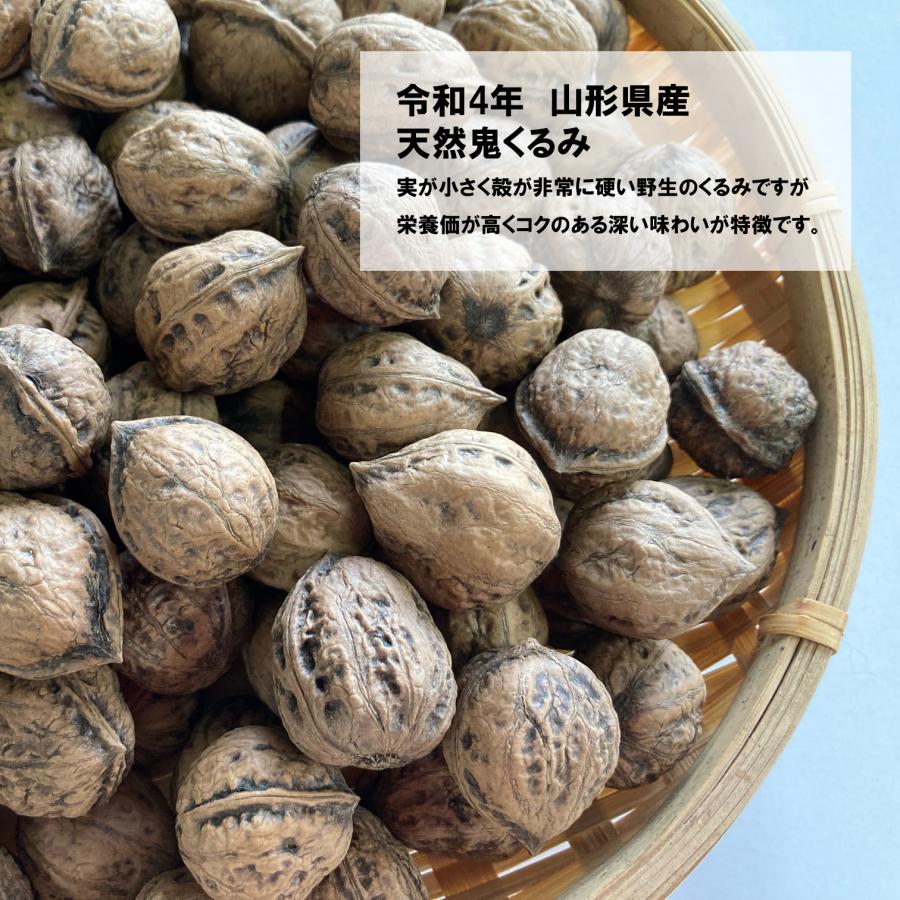 くるみ 1kg 国産 殻付き 令和5年産 山形県産 鬼くるみ オニグルミ 和くるみ 送料無料（一部地域を除く）