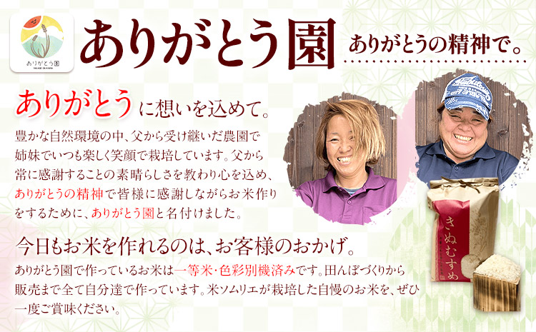 新米 令和5年産 米 岡山県産 きぬむすめ 白米 選べる 10kg ありがとう園《30日以内に出荷予定(土日祝除く)》岡山県 矢掛町 米 コメ 一等米---osy_agekmh_30d_23_19500_10kg---